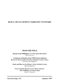Kaingin in the Philippines: Is It the End of the Forest?