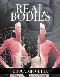 Real Bodies Educator Guide