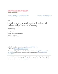Development of a Novel Combined Catalyst and Sorbent for Hydrocarbon Reforming Justinus A