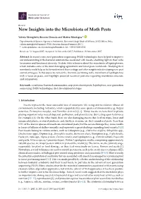 New Insights Into the Microbiota of Moth Pests