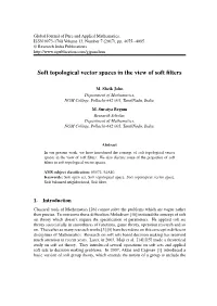 Soft Topological Vector Spaces in the View of Soft Filters
