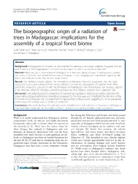 The Biogeographic Origin of a Radiation of Trees In