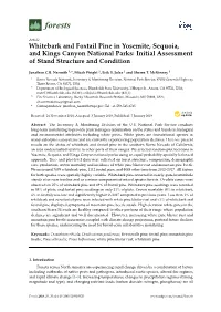 Whitebark and Foxtail Pine in Yosemite, Sequoia, and Kings Canyon National Parks: Initial Assessment of Stand Structure and Condition