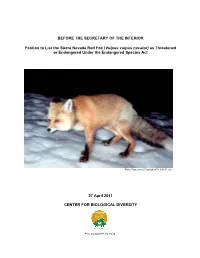 Sierra Nevada Red Fox (Vulpus Vulpus Necator) As Threatened Or Endangered Under the Endangered Species Act