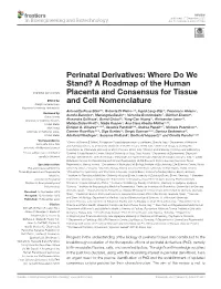 A Roadmap of the Human Placenta and Consensus for Tissue and Cell