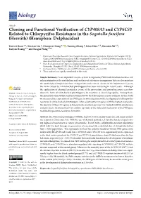 Cloning and Functional Verification of CYP408A3 and CYP6CS3 Related to Chlorpyrifos Resistance in the Sogatella Furcifera