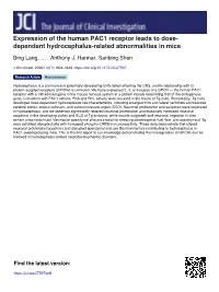Expression of the Human PAC1 Receptor Leads to Dose- Dependent Hydrocephalus-Related Abnormalities in Mice