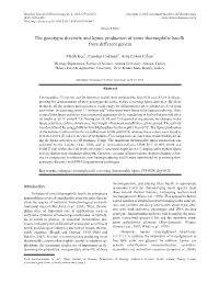 The Genotypic Diversity and Lipase Production of Some Thermophilic Bacilli from Different Genera