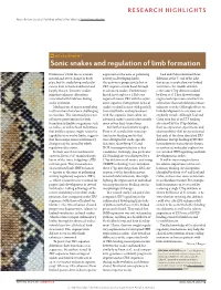 Development: Sonic Snakes and Regulation of Limb Formation