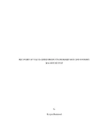Recovery of Value Added Products from Red Mud and Foundry Bag