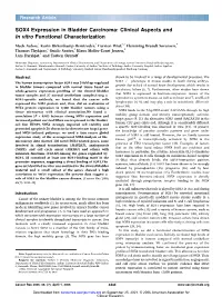SOX4 Expression in Bladder Carcinoma: Clinical Aspects and in Vitro Functional Characterization