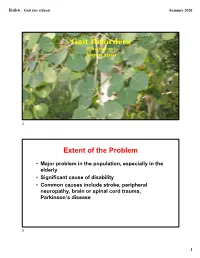 Gait Disorders (Chapter 10) Aspen 2019