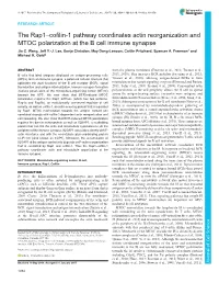 The Rap1–Cofilin-1 Pathway Coordinates Actin Reorganization and MTOC Polarization at the B Cell Immune Synapse Jia C