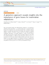 A Genomics Approach Reveals Insights Into the Importance of Gene Losses for Mammalian Adaptations