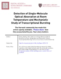 Detection of Single-Molecule Optical Absorption at Room Temperature and Mechanistic Study of Transcriptional Bursting
