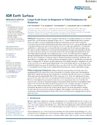 Large‐Scale Scour in Response to Tidal Dominance in Estuaries