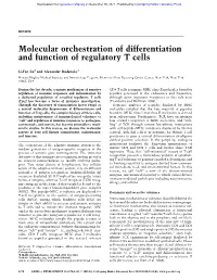 Molecular Orchestration of Differentiation and Function of Regulatory T Cells