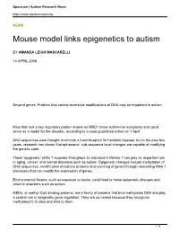 Mouse Model Links Epigenetics to Autism