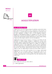 Lesson 60. Agglutination