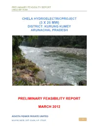 Preliminary Feasibility Report March 2012