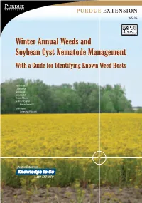 Winter Annual Weeds and Soybean Cyst Nematode Management with a Guide for Identifying Known Weed Hosts