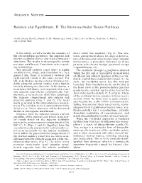 Balance and Equilibrium, II: the Retrovestibular Neural Pathway