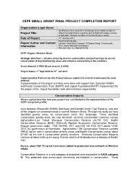 Final Project Completion Report