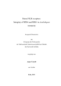 Paired NLR Receptors: Interplay of RPS4 and RRS1 in Arabidopsis Immunity