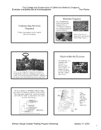 Presentation