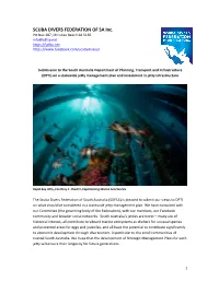 SDFSA DPTI Jetty Submission 2020