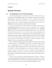 Synaptic Processes