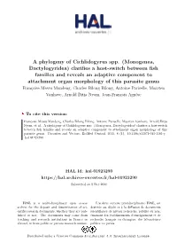 A Phylogeny of Cichlidogyrus Spp. (Monogenea, Dactylogyridea)