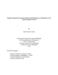 Fungal Community Structural and Functional Responses to Disturbances in a North Temperate Forest