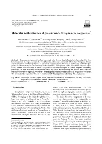 Molecular Authentication of Geo-Authentic Scrophularia Ningpoensis*