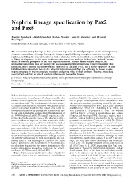 Nephric Lineage Specification by Pax2 and Pax8