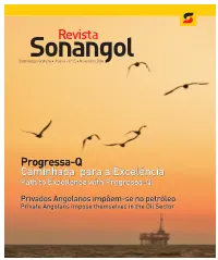Progressa-Q Caminhada Para a Excelência Path to Excellence with Progressa-Q