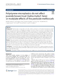 Polystyrene Microplastics Do Not Affect Juvenile Brown Trout (Salmo Trutta F