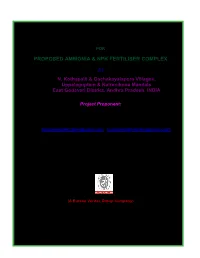 Pre-Feasibility Report