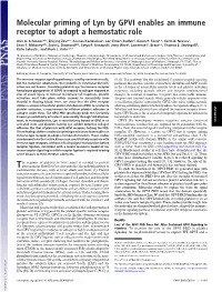 Molecular Priming of Lyn by GPVI Enables an Immune Receptor to Adopt a Hemostatic Role