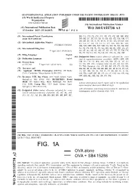 Fig. 1A