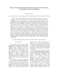 Predator Defense Mechanisms in Shallow Water Sea Cucumbers (Holothuroidea)