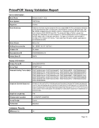 Primepcr™Assay Validation Report