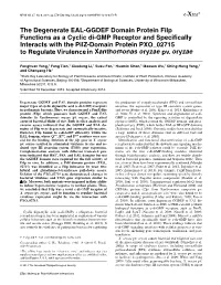 The Degenerate EAL-GGDEF Domain Protein Filp Functions As a Cyclic