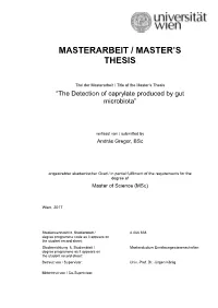 Masterarbeit / Master's Thesis