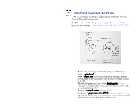 The Hand Model of the Brain an Excerpt from Dr