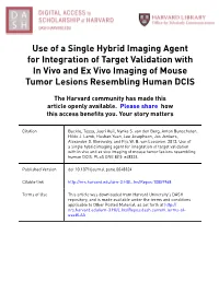 Use of a Single Hybrid Imaging Agent for Integration of Target Validation with in Vivo and Ex Vivo Imaging of Mouse Tumor Lesions Resembling Human DCIS