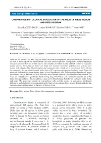 Comparative Histological Evaluation of the Fruit of Ribes Nigrum and Ribes Rubrum