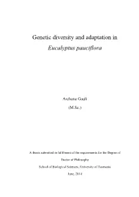 Genetic Diversity and Adaptation in Eucalyptus Pauciflora