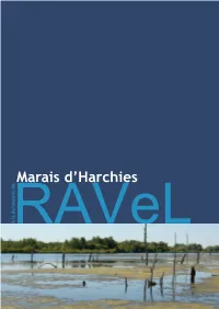 Marais D'harchies