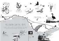 Millenium Coastal Path